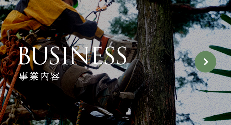 harf_business_bnr
