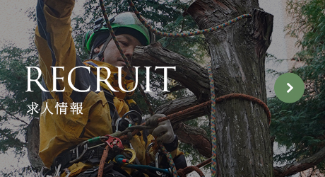 harf_recruit_bnr